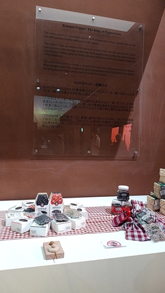 "13:13   カンボジア02 "