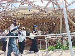 "クラゲ館"