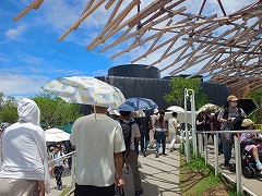 "クラゲ館"
