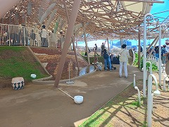 "クラゲ館"