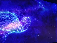 "オーストラリア"